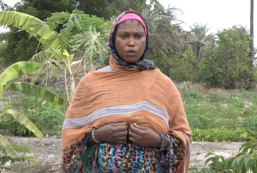 ZIGUINCHOR : Le jardin transfrontalier de Trankil ; cas d’école pour une culture de paix et de sécurité entre la Gambie et le Sénégal
